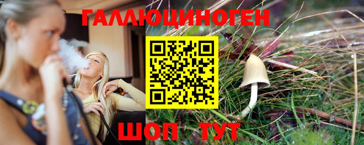 Усть-Джегута  Псилоцибиновые грибы Psilocybe  Галлюциногенные грибы GOLDEN TEACHER  где можно купить   Вход с VPN 