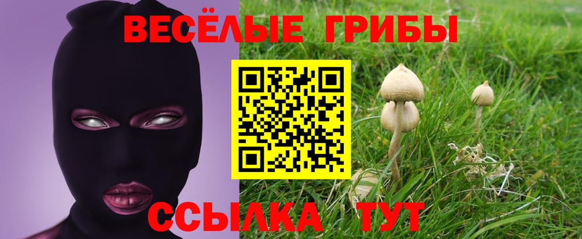 Псилоцибиновые грибы Cubensis Усть-Джегута