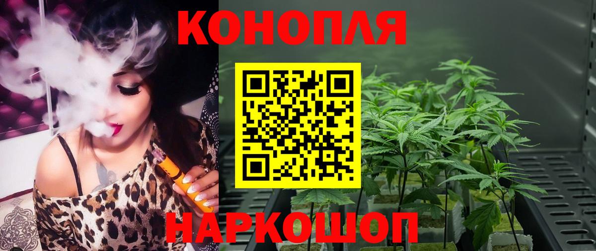 Канабис OG Kush  Шишки марихуана планчик  Вход с VPN  Усть-Джегута 